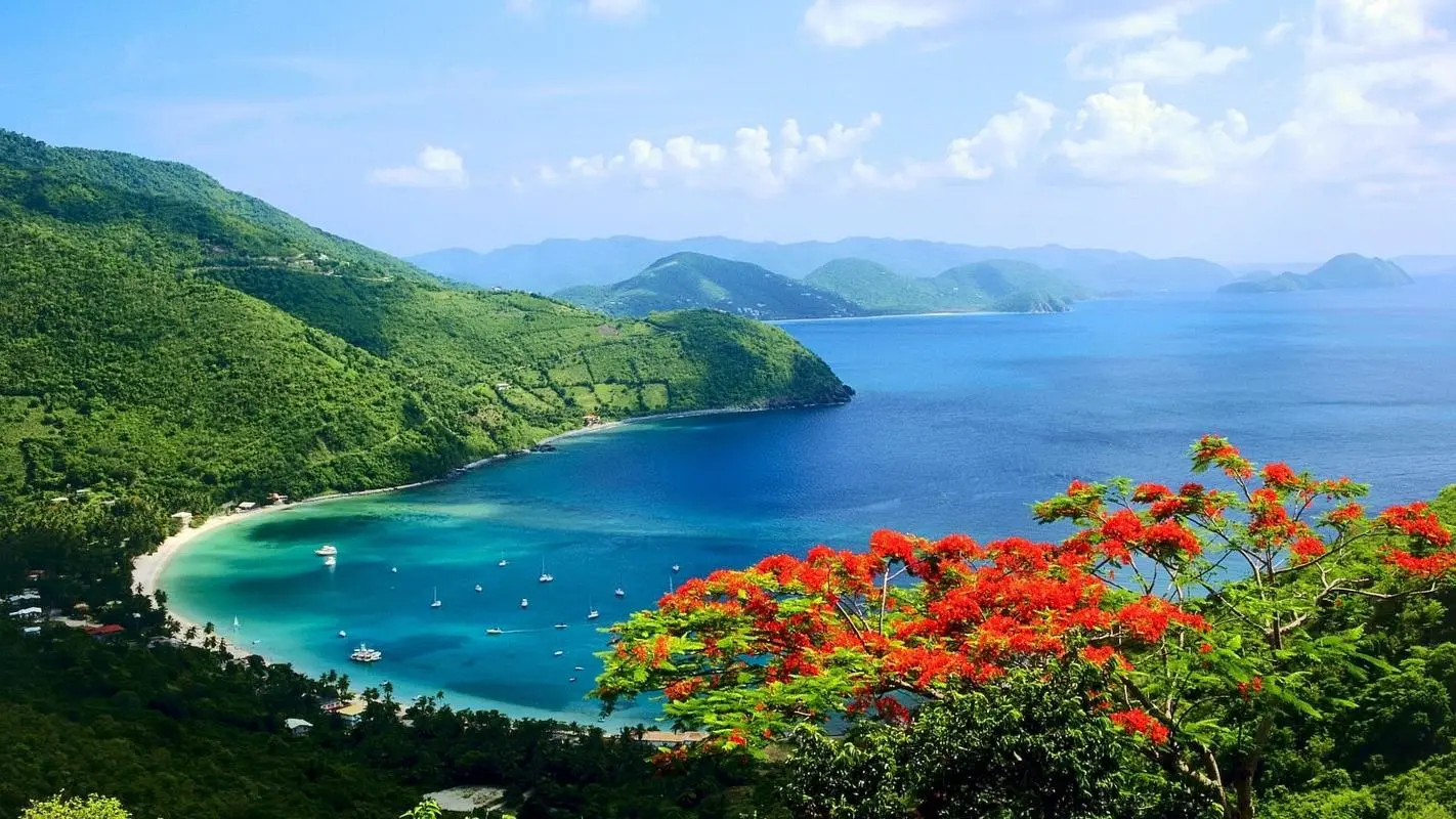 高标准高标准高效